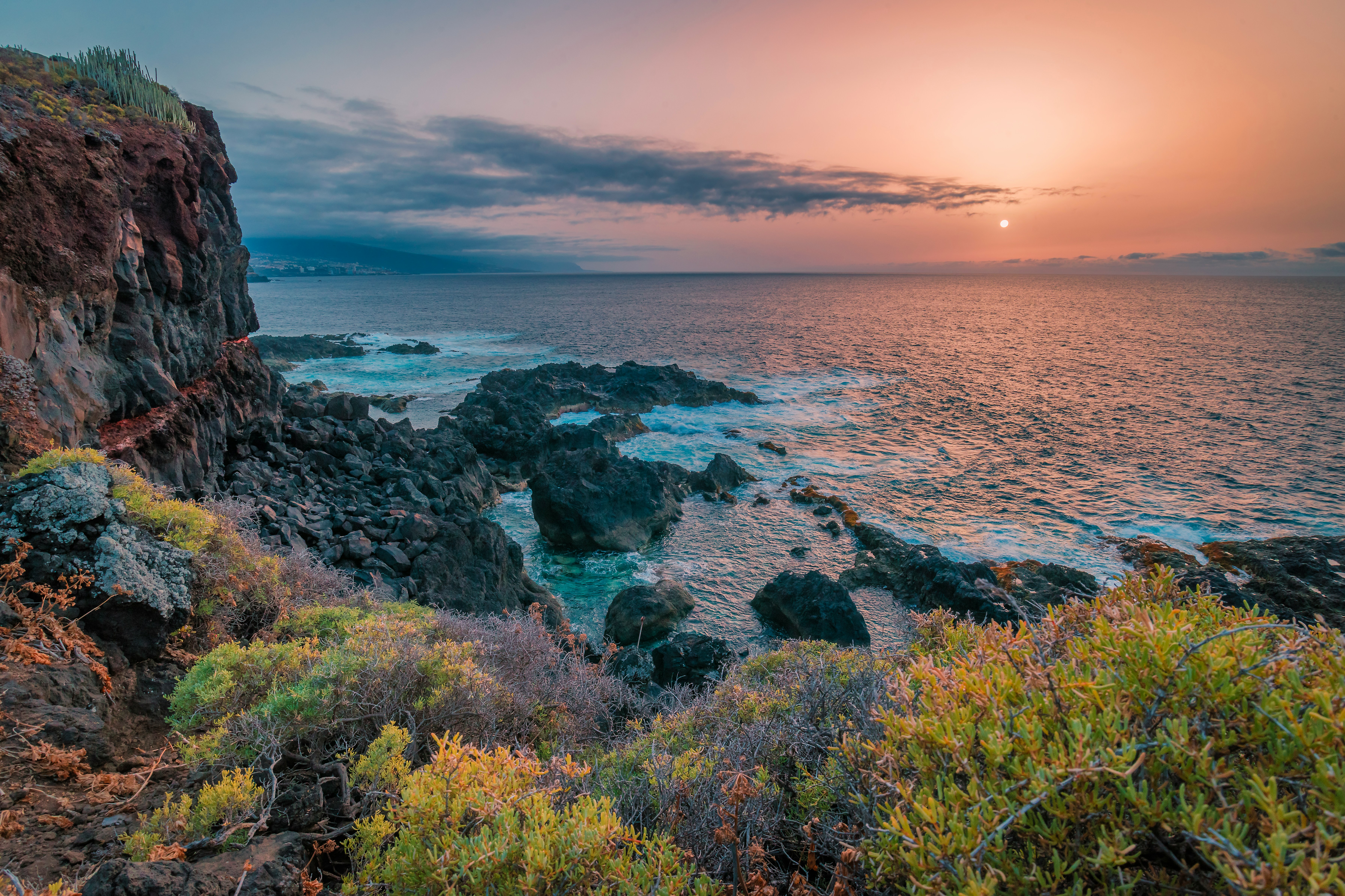 Canaries